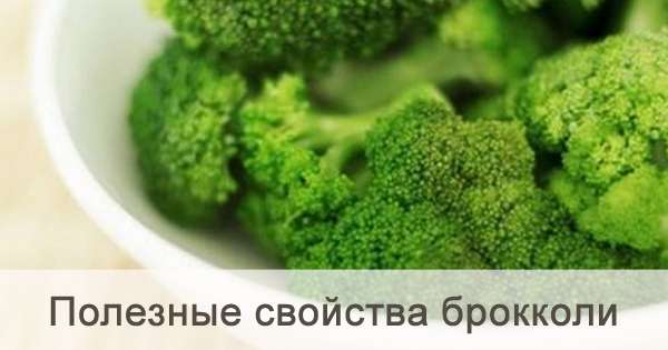 Boste ljubezen brokoli, spoznajte svoje koristne lastnosti! Bodite prepričani, da dodate v svojo dieto. /  Brokoli