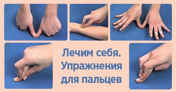 Дивовижна здатність пальців лікувати наше тіло. Допоможи собі без ліків! /  імунітет