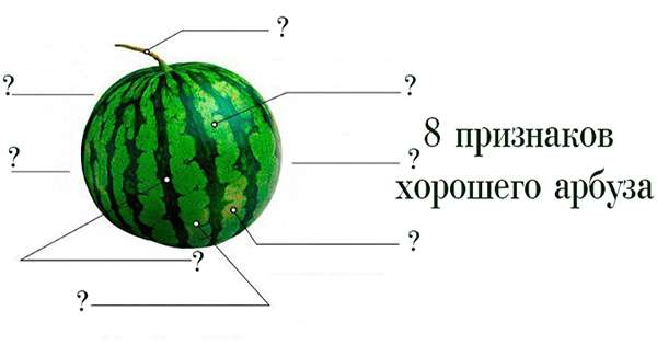 8 známok dobrých tipov vodného melónu, ktoré vám viac ako raz pomôžu v lete. /  vodný melón