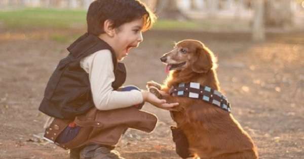 Neprocjenjiv pomagač u podizanju djece 12 razloga zašto bi svako dijete trebalo odrasti s psom. /  trening