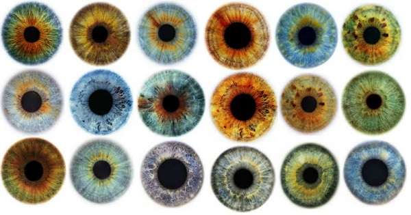 Farba očí vie o stave ľudského zdravia. Závery, ktoré nikto neočakáva! /  oči