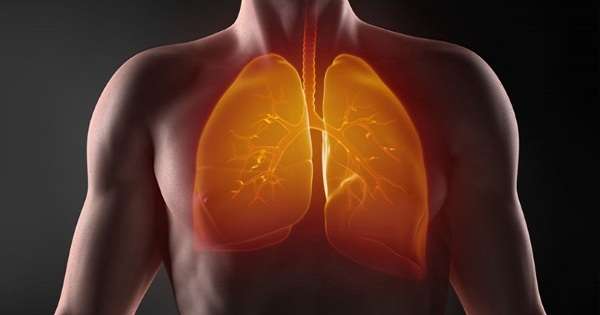 Starodávna metóda čistenia pľúc a predĺženie života. Zbavte sa tejto choroby! /  pľúca
