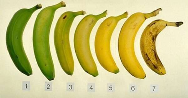 Једи или немојте имати тајну која је црнила банане. Погодности које нисте знали ... /  Банане
