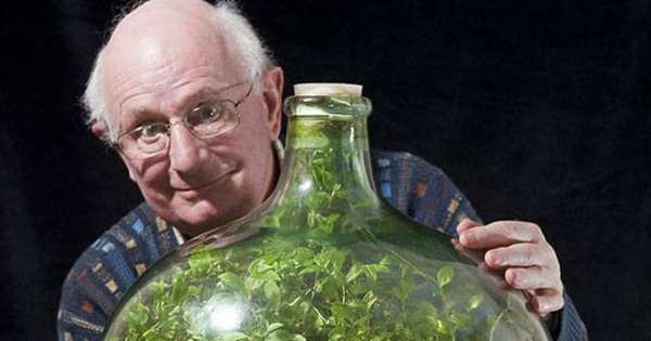Tento muž vysadil semená vo fľaši pred viac ako 50 rokmi ... A to je to, čo z toho vyplynulo! /  fľaše
