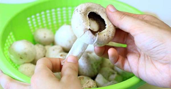 Како брзо очистити печурке? Овим методом можете одмах да се носите! /  Печурке