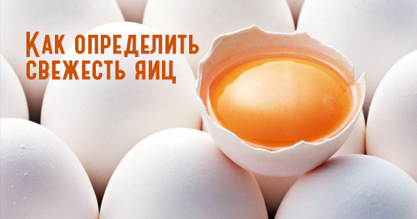 Ako určiť čerstvosť vajec, ak nie sú označené. Jednoduchá, ale veľmi presná cesta! /  life hacking