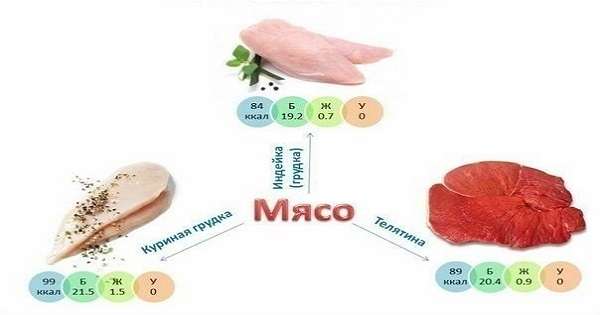 Najbolji izvori proteina, masnoća i ugljikohidrata čine vašu hranu uravnoteženu! /  proteini
