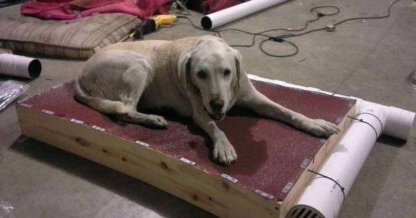 Хлопець змайстрував для свого собаки найкрутіший лежак на світі ... Без всякого сумніву! /  спека