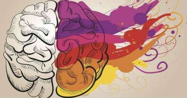 Razvoj kreativnosti, ove 5 vježbe pomoći će vam da naučite kreativne sposobnosti! /  mozak