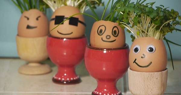 Симпатична альтернатива пасхальним яйцям. Створи в будинку весняний настрій! /  Великдень