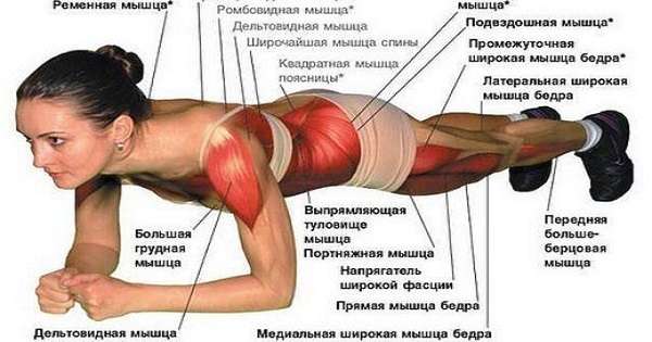 Exercise Plank - univerzalna vaja za celotno telo. Samo 2 minuti na dan je dovolj! /  Planck